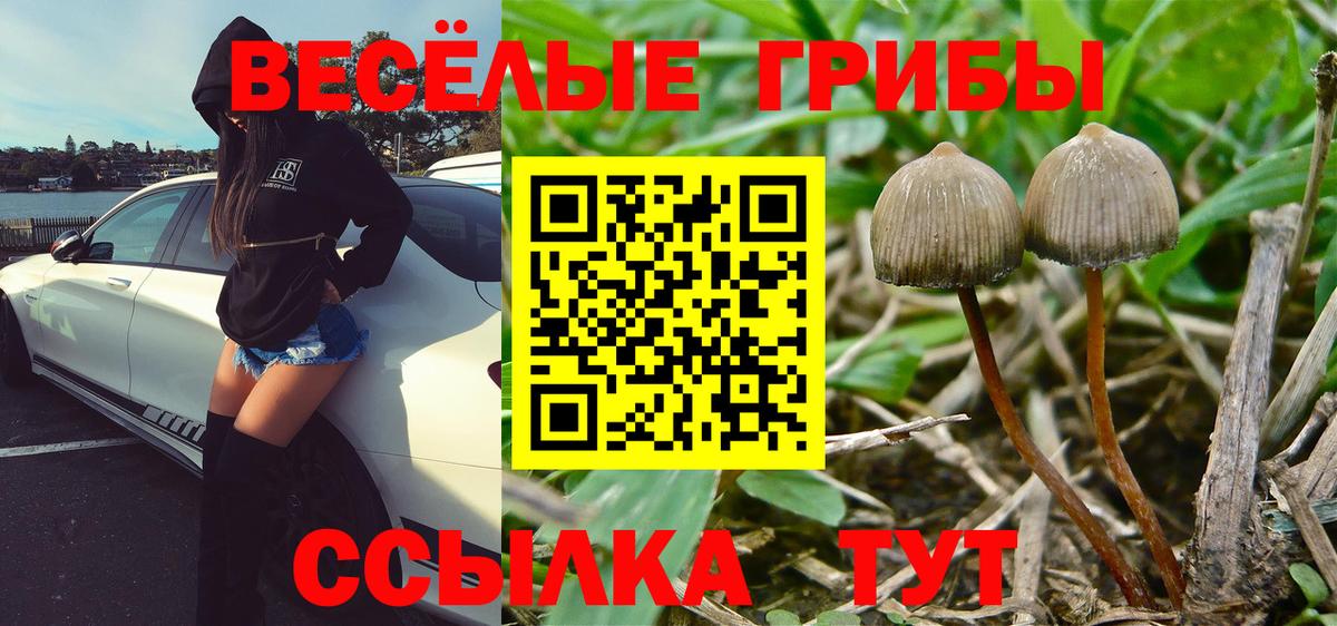 Псилоцибиновые грибы MAGIC MUSHROOMS  Вход с VPN  сколько стоит  Родники 